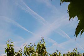 0201.10.2004: 12 Uhr 07 klassisches Gittermuster durch intensive Wolkenbildungs-Ttigkeiten in unterschiedlichen Auflsungsphasen.